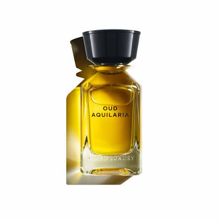 Oman Luxury Oud Aquilaria Eau de Parfum for Women and Men 100ml